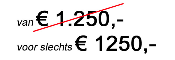 prijspsychologie punt in prijs